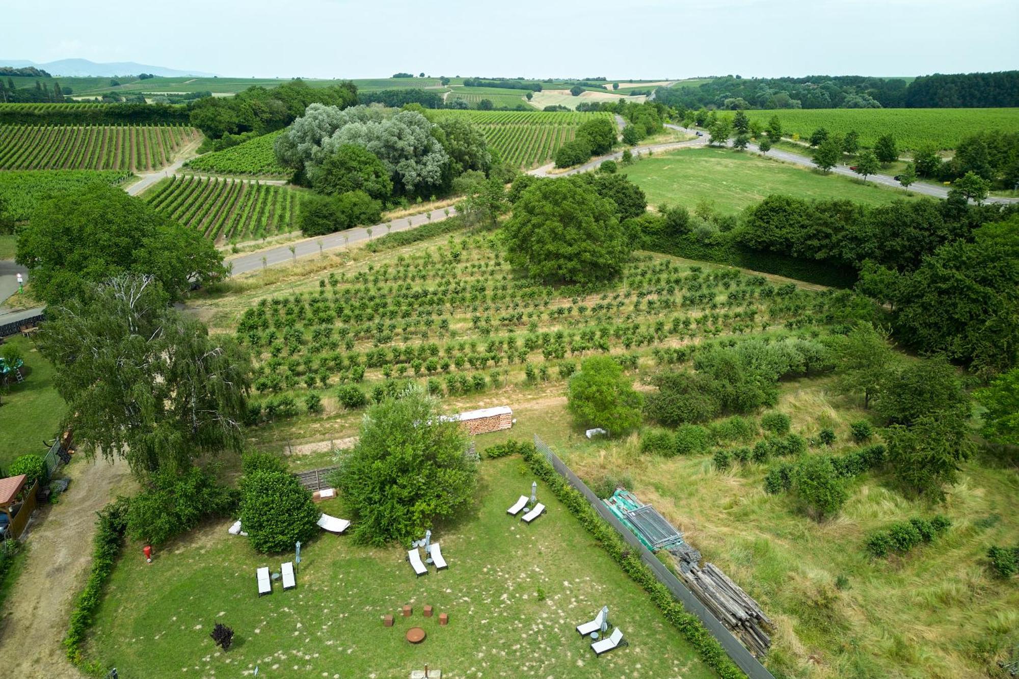 Weinhotel Fritz Walter Niederhorbach Exteriér fotografie